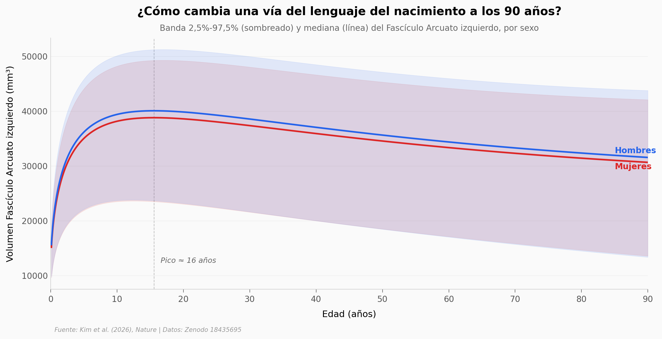 Chart normativo del Fascículo Arcuato izquierdo a lo largo de la vida