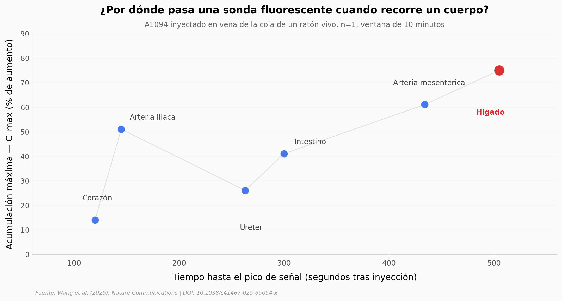 Farmacocinética del A1094 en seis órganos