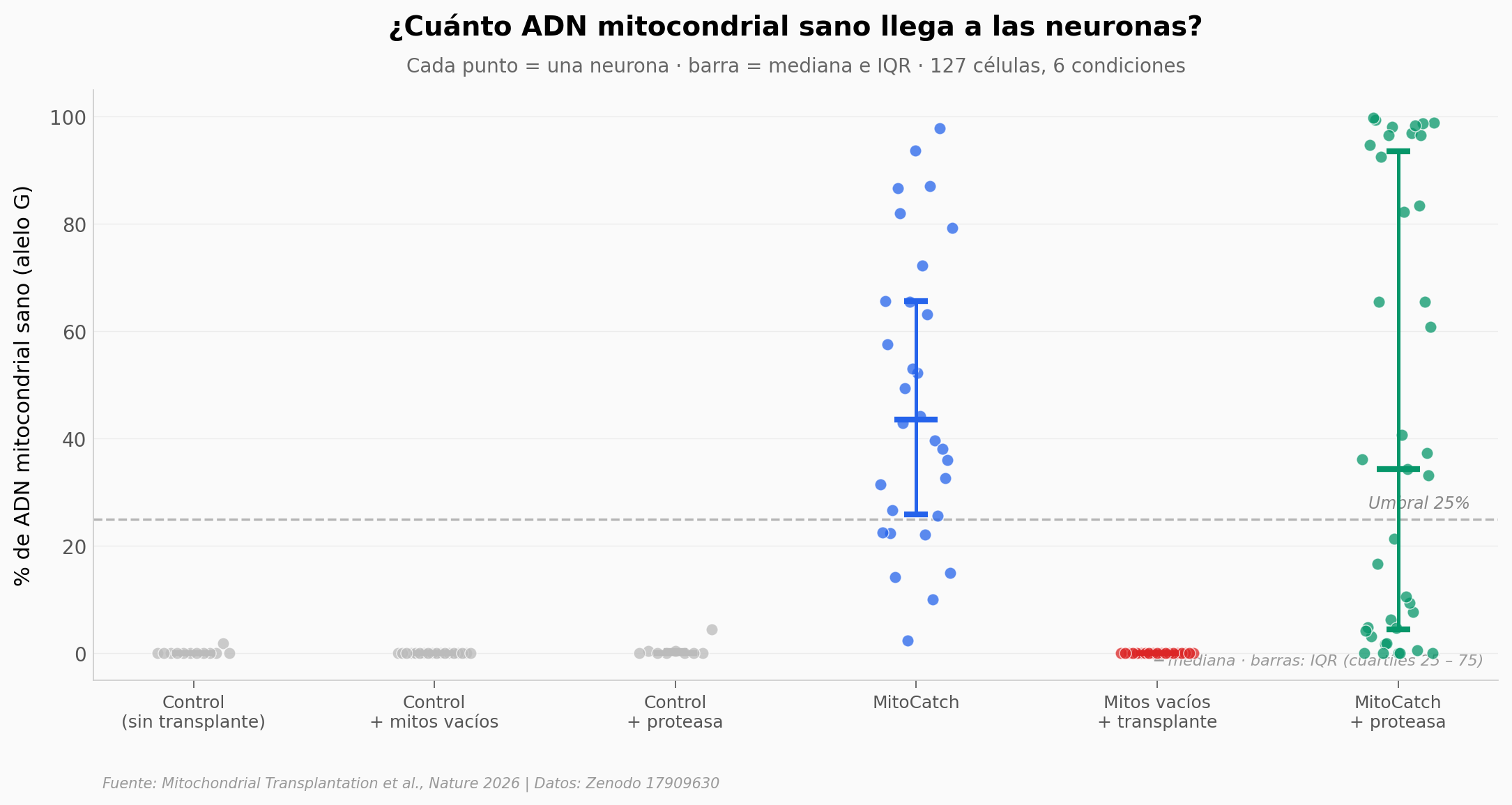 Cada neurona tratada vs controles