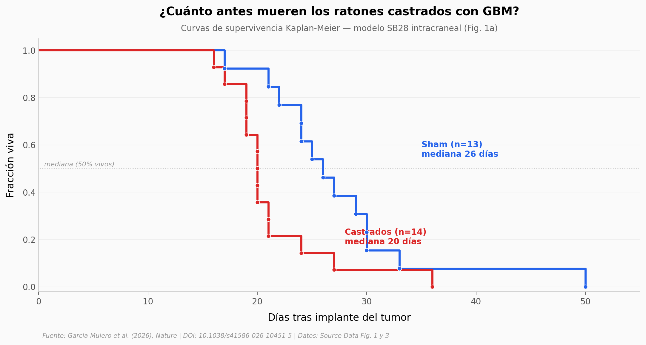 Supervivencia Sham vs castrado en GBM intracraneal