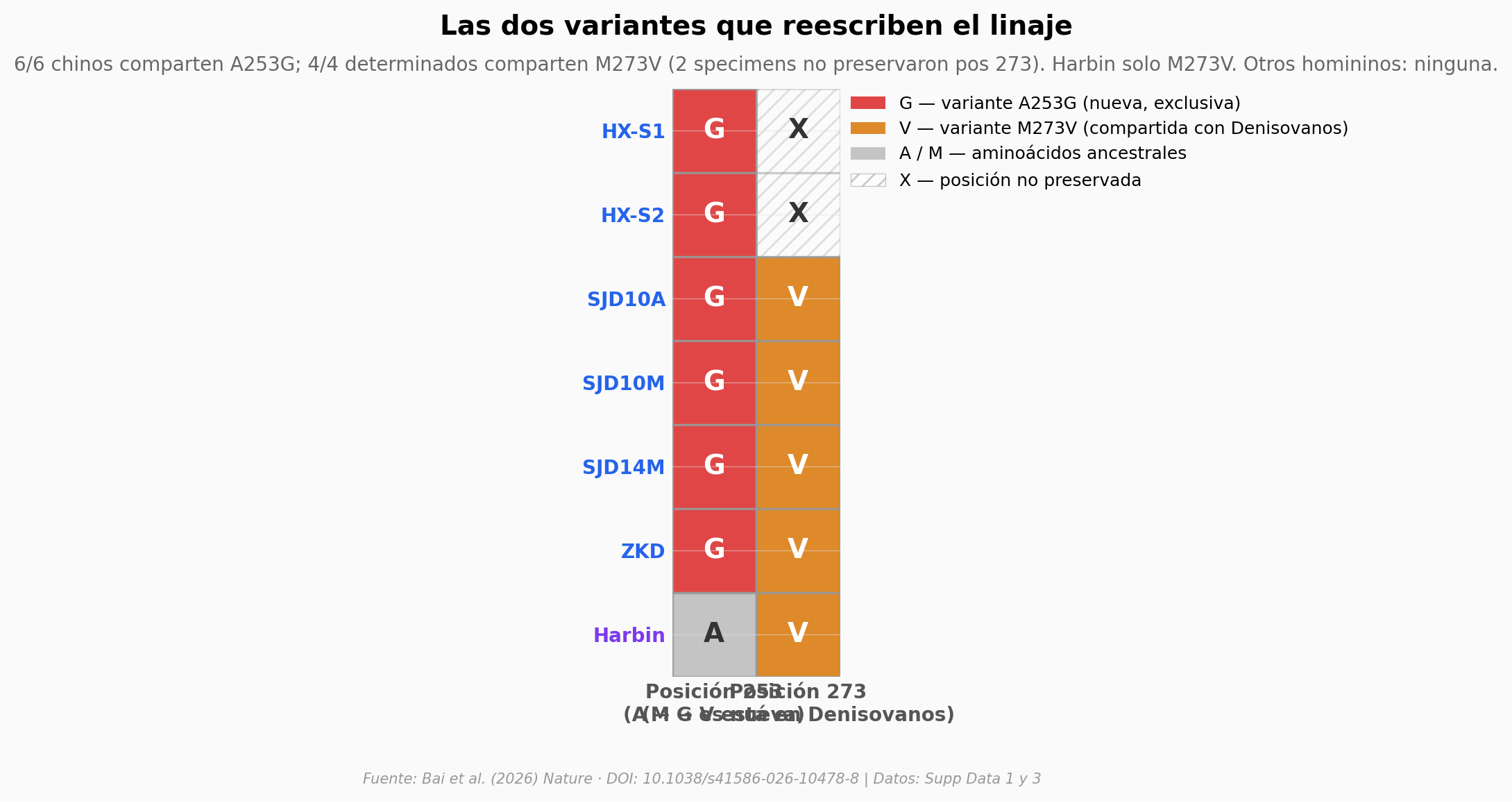 Las dos variantes que reescriben el linaje