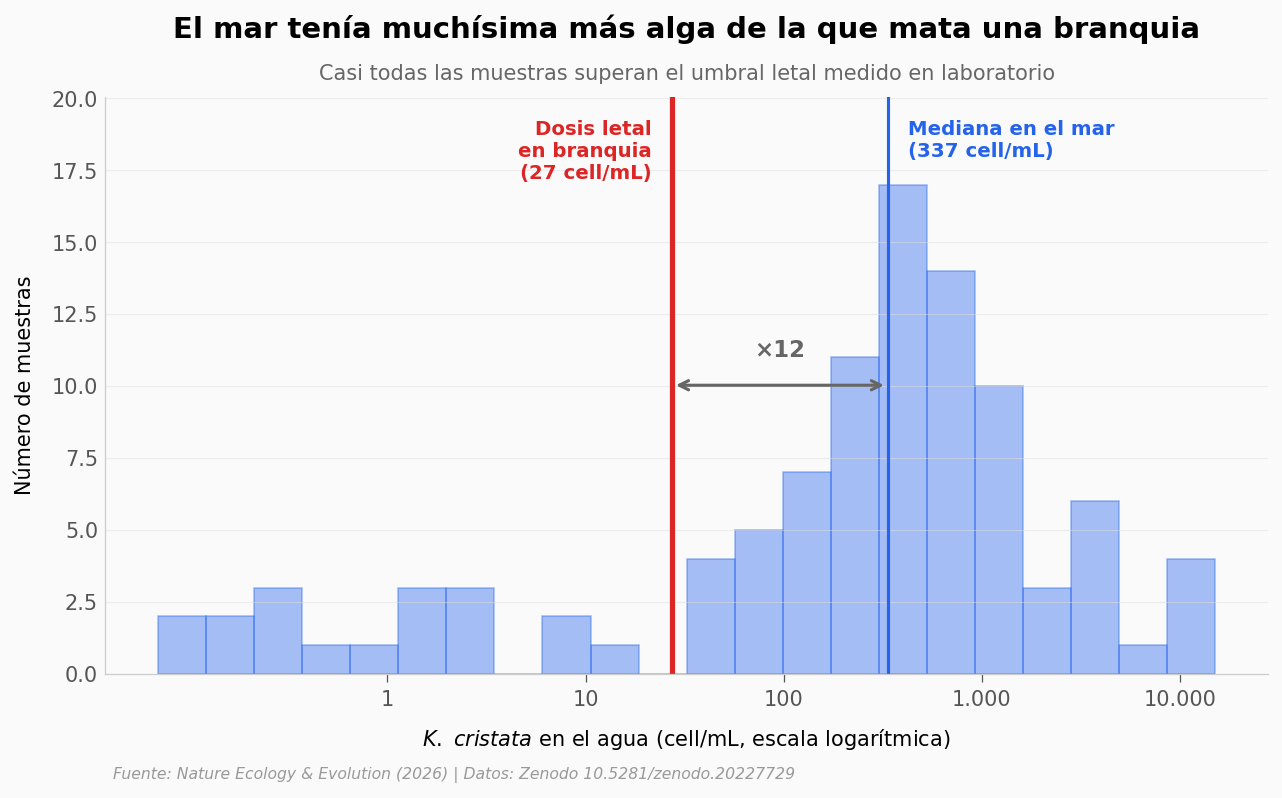 ../../_images/9b634e2ace9fd82e0fc93c24ac17b718a3f76a7c482b76d686fe9fc4b5ea127b.png