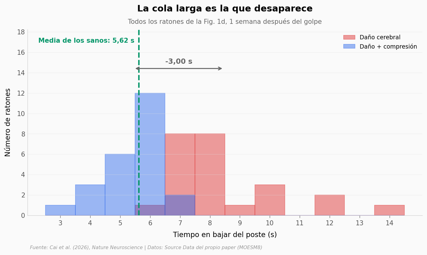 ../../_images/b7db689f6d63296f1539bf8a519bb6d6f7deaaa4e73b0aa036ac51c7e6f583a2.png
