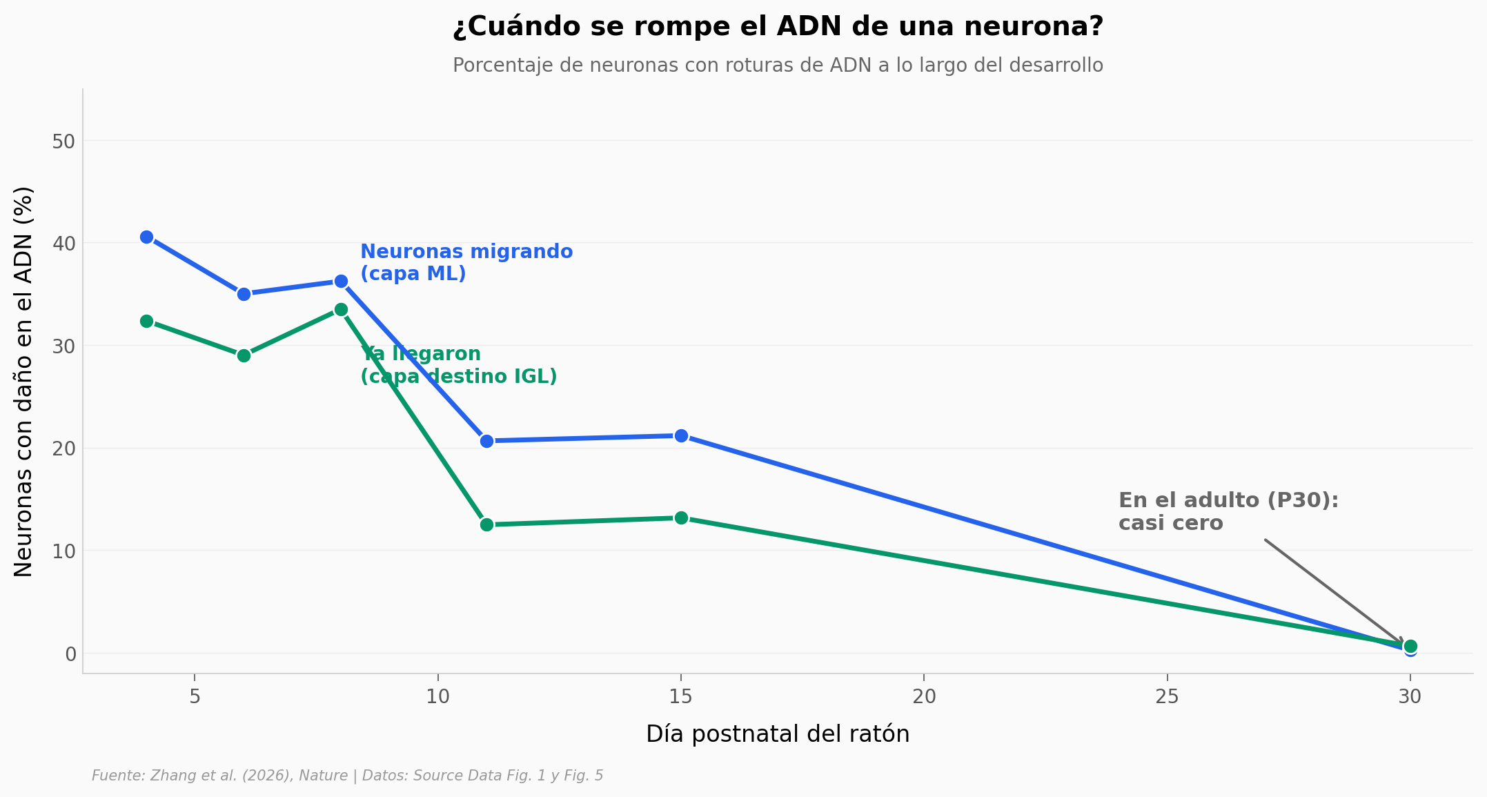 Daño al ADN a lo largo del desarrollo