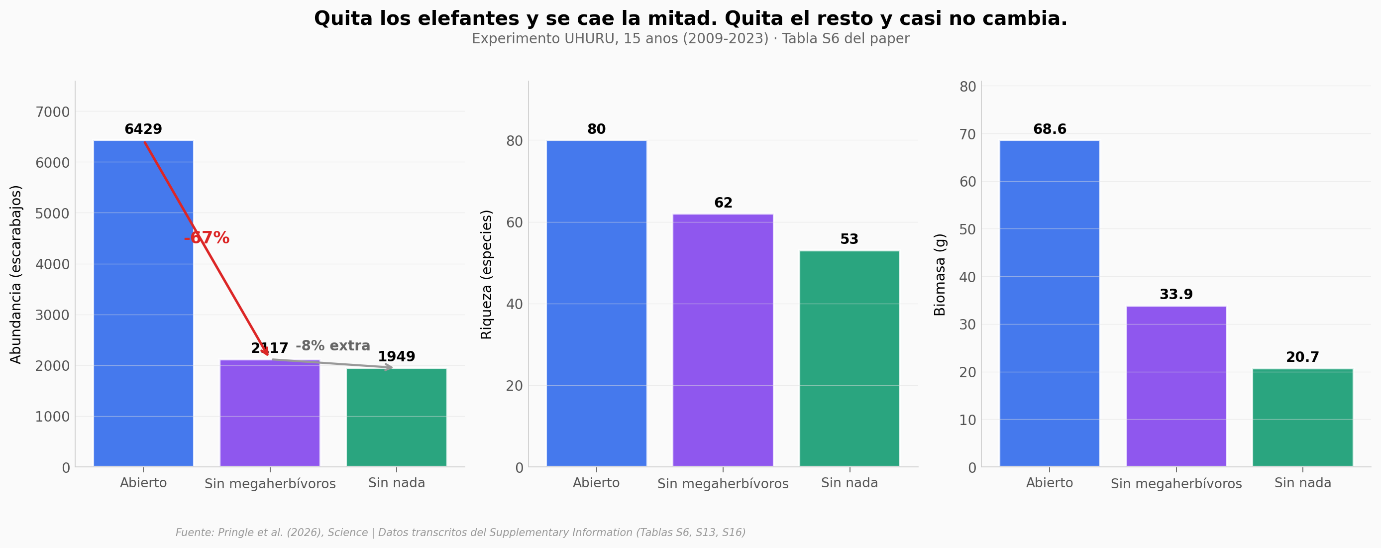 Quita los elefantes y se cae la mitad