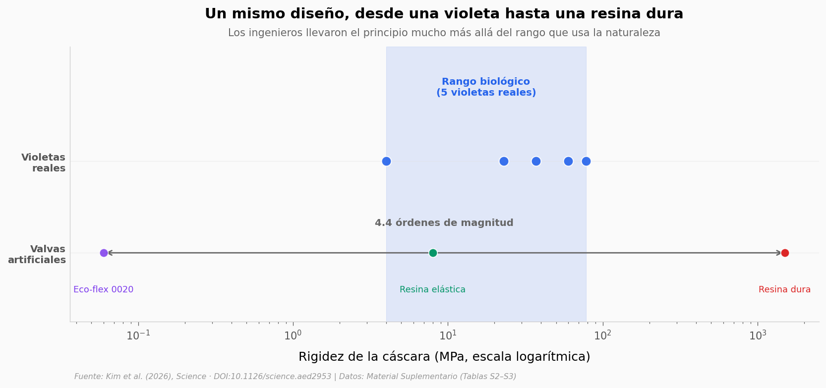 ../../_images/f1e2dacc9a433cdd5c7a921ae225736ab1981ee17efdce428e196fd54849006a.png