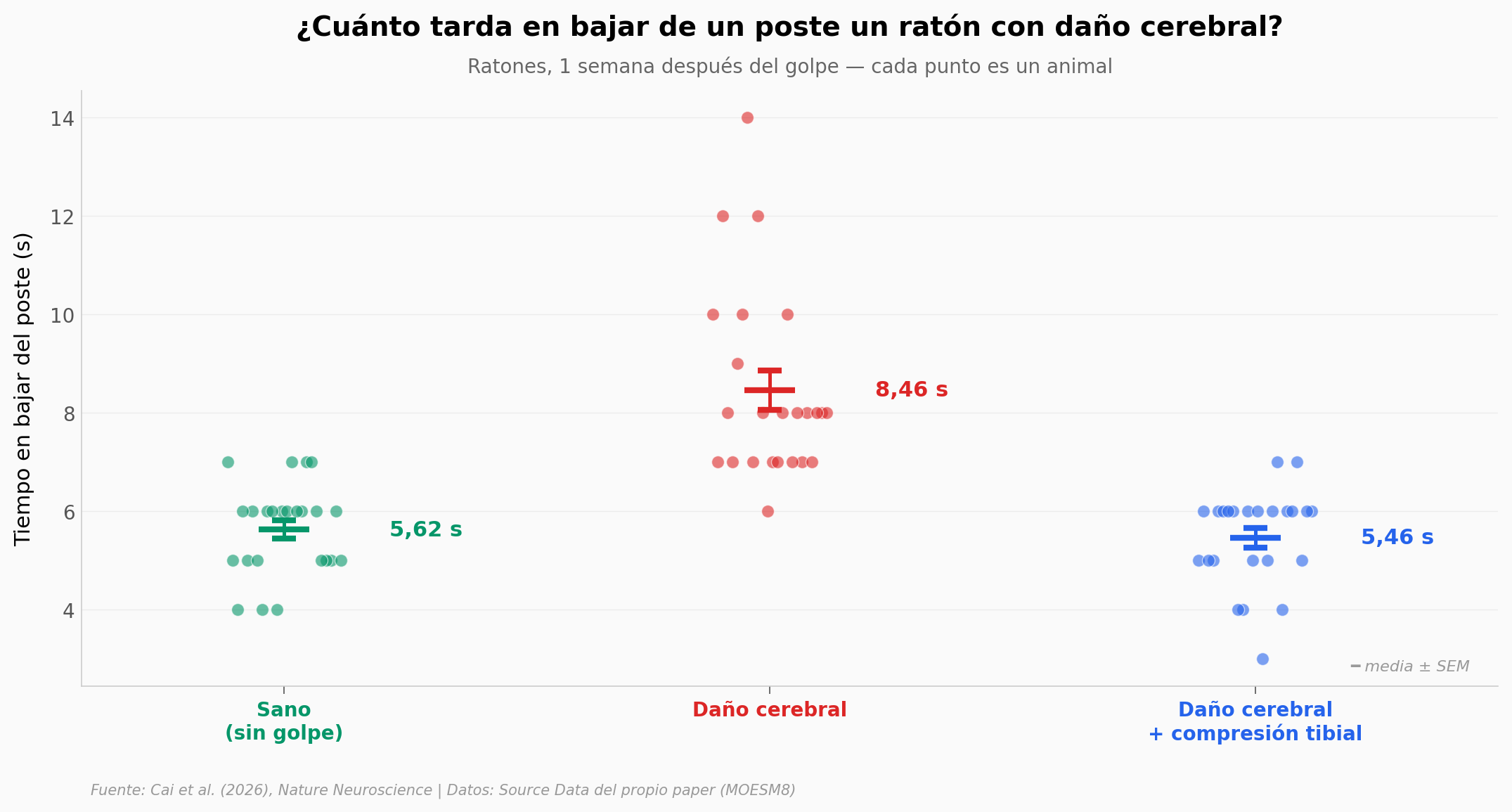Tiempo en bajar del poste por grupo: sano 5,62 s, daño cerebral 8,46 s, daño + compresión tibial 5,46 s