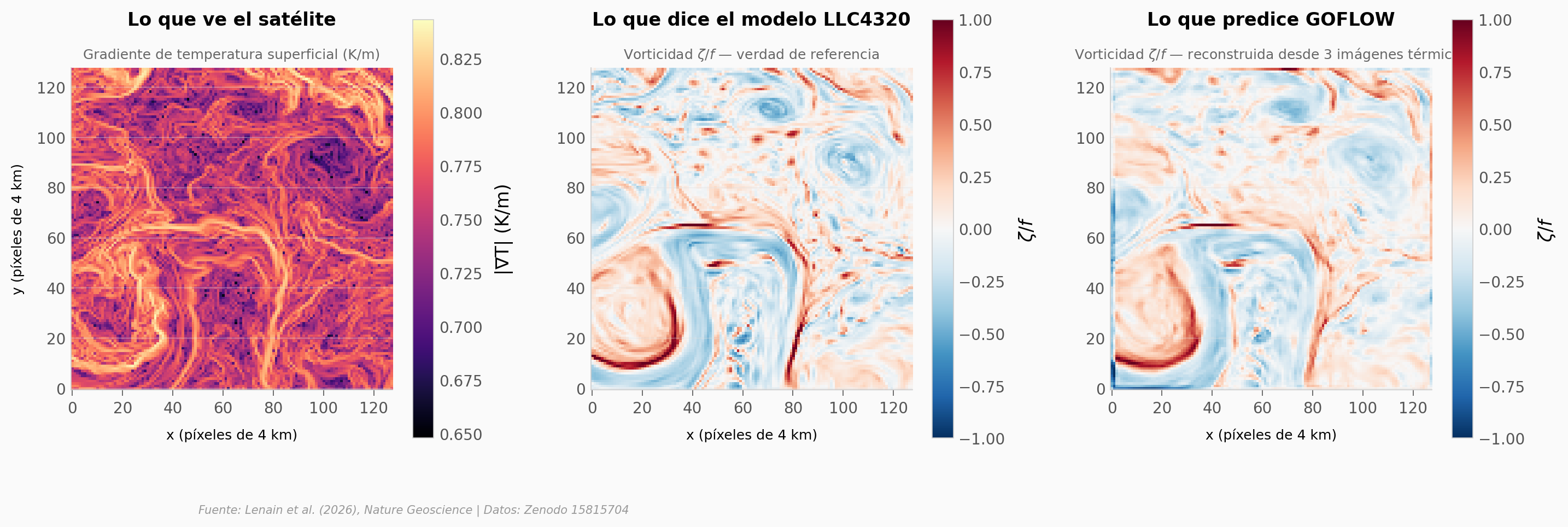 Comparación lado a lado: SST gradient, vorticidad LLC4320 (verdad), vorticidad GOFLOW (predicción)