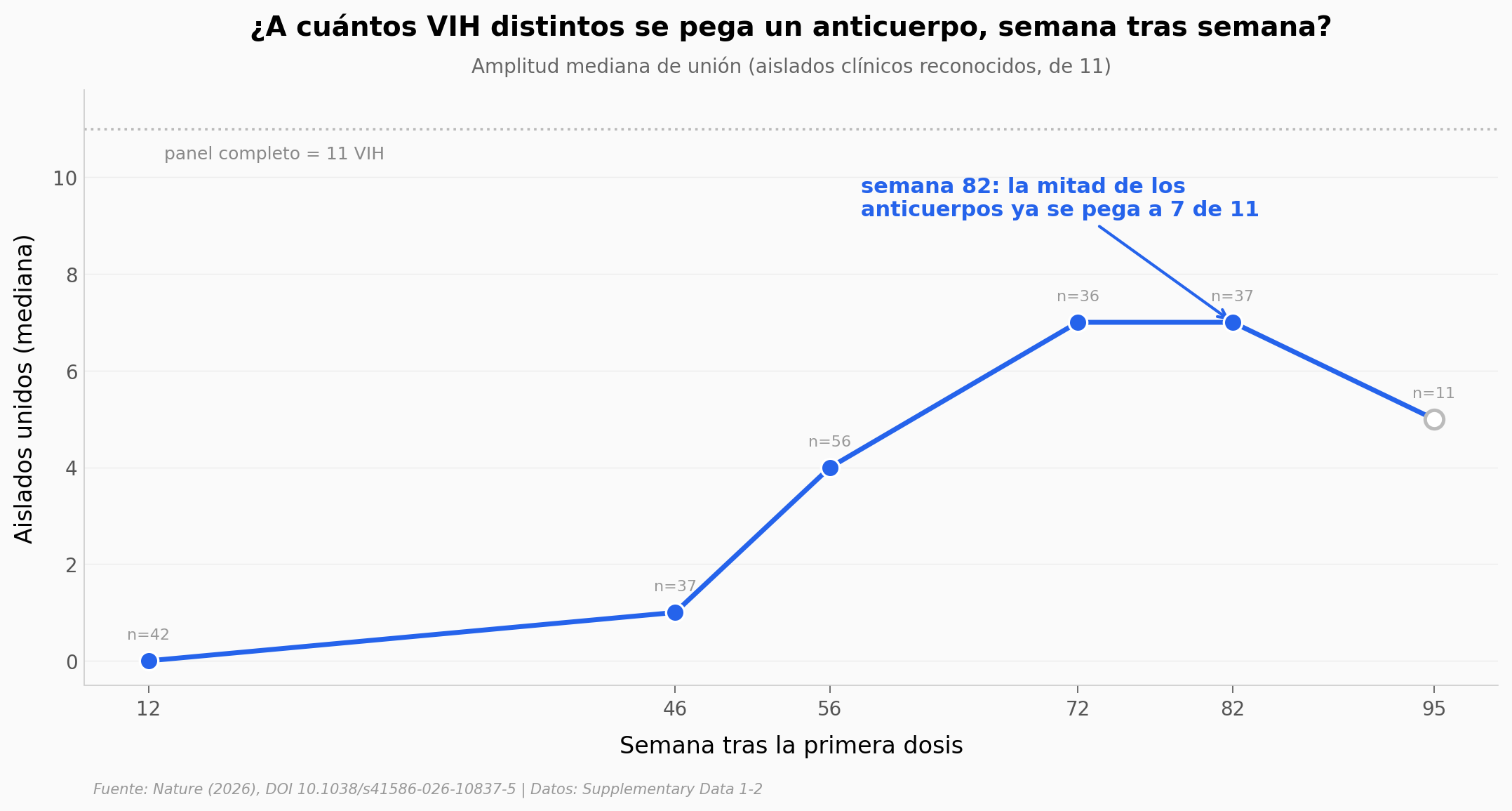 Maduración de la amplitud de unión, semana a semana