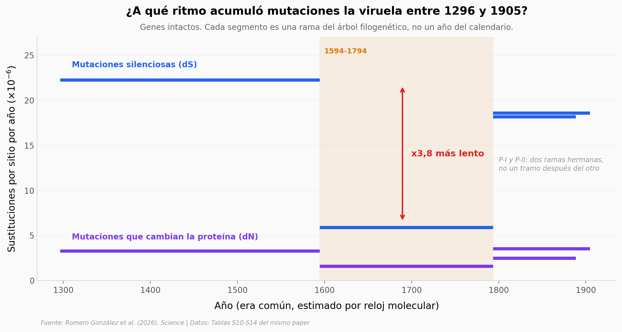 Tasas de sustitución por rama del árbol filogenético