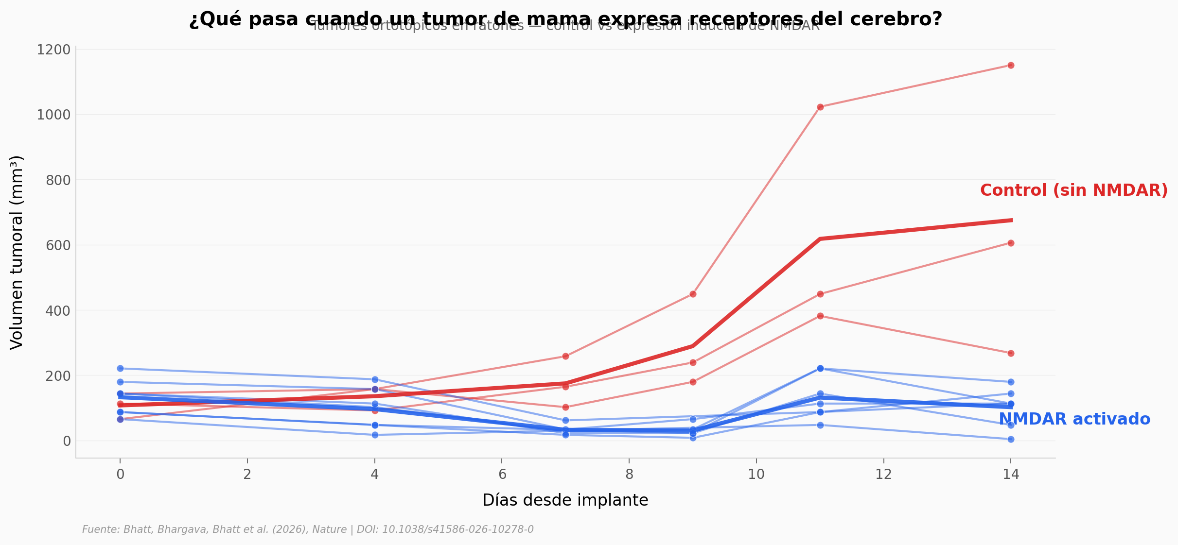 VEH vs DOX