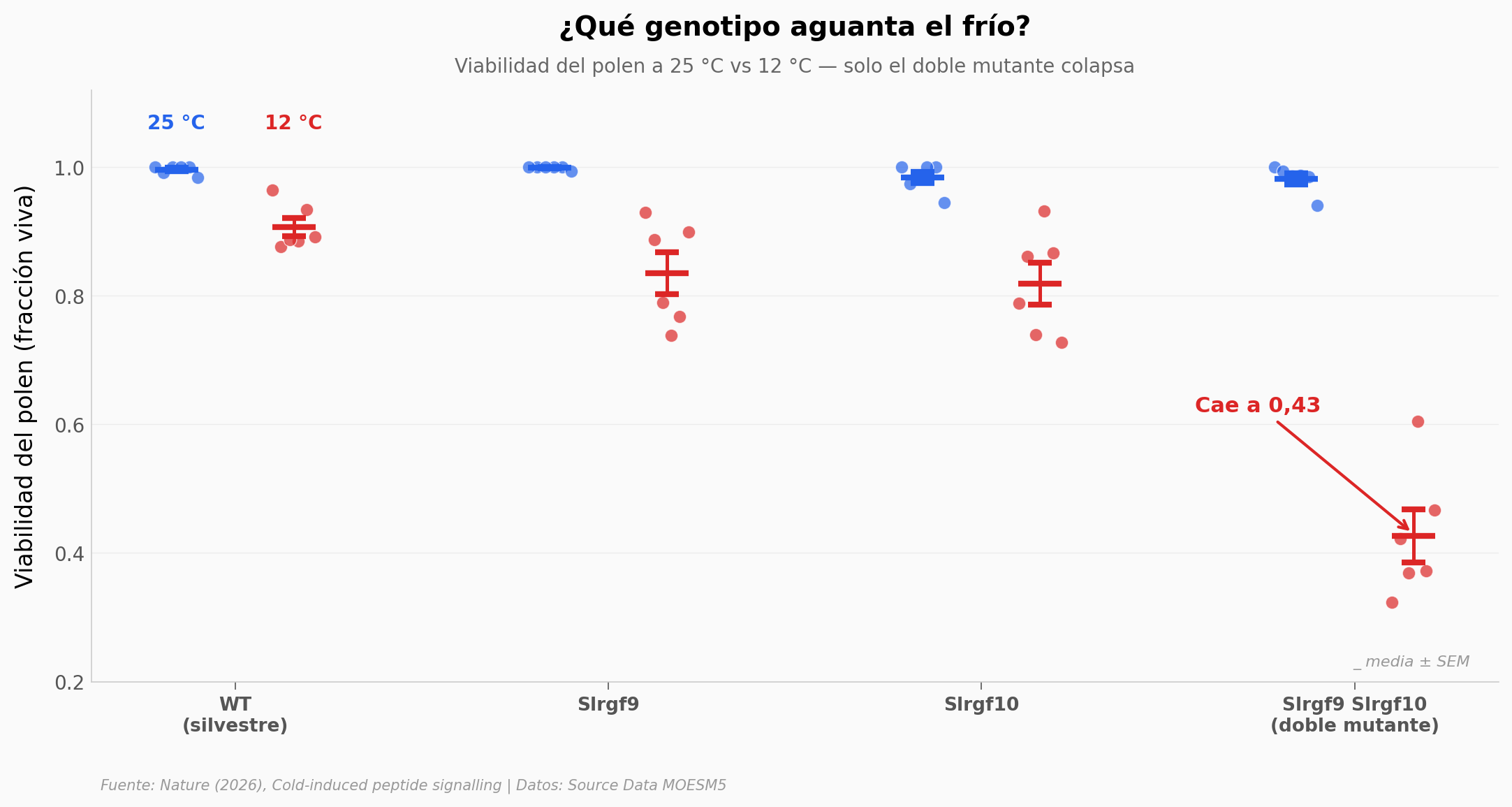 Viabilidad del polen por genotipo a 25 °C vs 12 °C