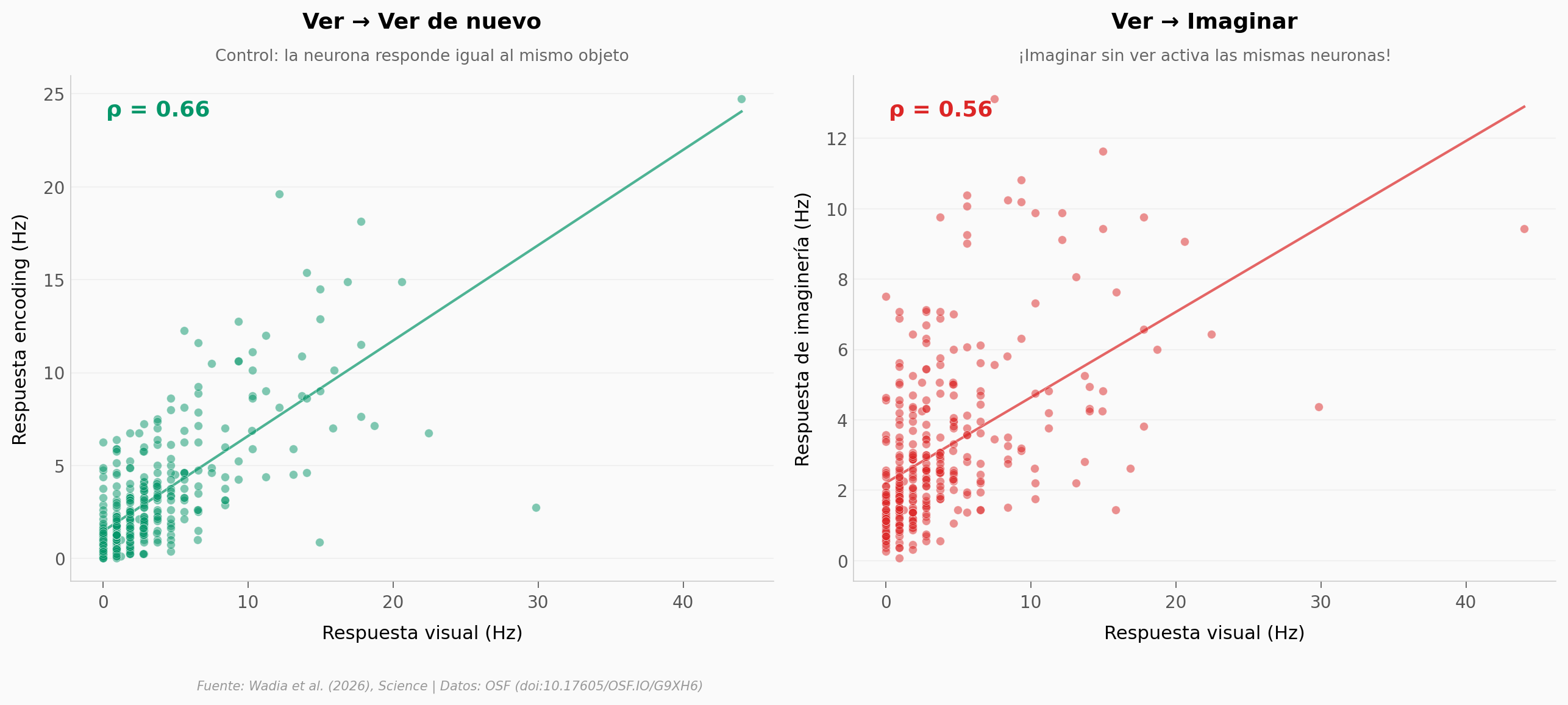 Percepción vs imaginería
